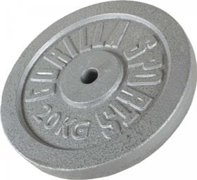 Disques de poids en fonte gris - De 0 5 KG à 30 KG - Poids : 20 KG