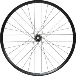 Roue Arrière Hope Fortus 30W Pro 5 29'' | Boost 12x148 mm | 6 Trous | Argent