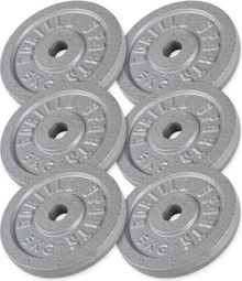 Disques de poids en fonte gris - De 0 5 KG à 30 KG - Poids : 30 KG(6 X 5 KG)