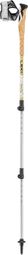 LEKI Cross Trail Ta Gold poles (100-135cm)