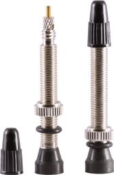 Kit Valves Tubeless SB3 Presta 44mm (x10)