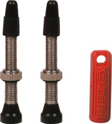 Zefal Kit Tubeless Ventile x2