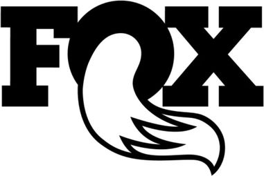 Kit Protection Fourche RAD x Monkey's pour Fox 34 année 2024