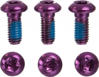 Neatt Stainless Steel Disc Screw M5x10 mm Purple (x6)