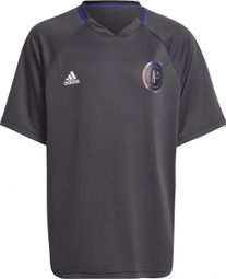 Maillot enfant adidas Pogba