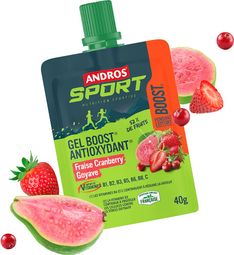 Antioxidant Gel Andros Sport Boost Blackcurrant/Betterave 40g