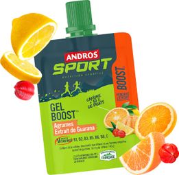 Gel énergétique Andros Sport Boost Agrumes/Extrait de Guarana - 40g