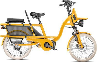 Vélo Cargo GAYA  L'Incroyable Le Court  Safran  pack adulte