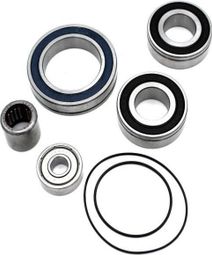 Blackbearing - service kit pour moteur panasonic 36V