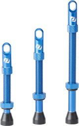 Paire de Valves Tubeless Syncros Presta Bleu