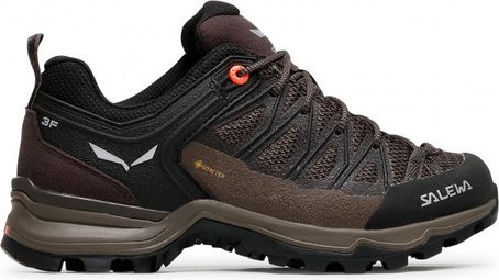 Salewa MTN Trainer Lite GTX Women's Hiking Shoes Brown
