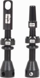 Paire de Valves Tubeless Progress PG-719 Presta 40mm Noir