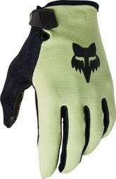 Fox Ranger Handschuhe Grün