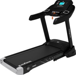 Active RUN 600 Smart – Gris