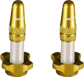 Ice Kit of Aluminium Plugs (x2) and Nuts (x2) Airflow Gold