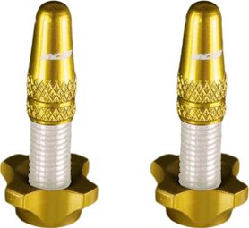 Ice Kit met aluminium pluggen (x2) en moeren (x2) Airflow Gold