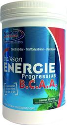 Bebida energética Fenioux Energie Progressive BCAA Mint 600g