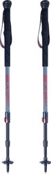 Bâtons de randonée GIANT carbone 100 anti choc