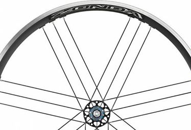 Lot de 4 rayons roue à disque arrière gauche Campagnolo zonda