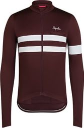 Maillot manches longues Rapha Brevet Jersey Marron/Blanc Homme