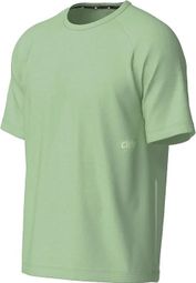 Camiseta Ciele DLY Verde