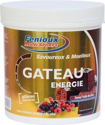 Gâteau énergétique Fenioux Multi-Sports Energie Fruits des bois - 400g