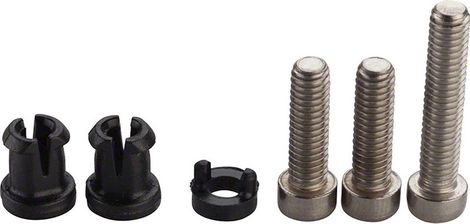 Tornillo Sram para cambio trasero X0/X7/X9 de 10 velocidades