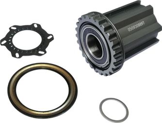 Cuerpo de buje libre RITCHEY Campy 9-10-11v V3 American Classic Style