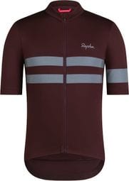 Kurzarm Trikot Rapha Brevet Jersey Braun/Silber Herren