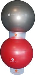 Anneau gymball Sveltus