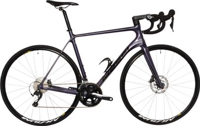 Massi Team Race Road Bike Shimano Tiagra 10V 700mm Viola 2023 - Prodotto ricondizionato