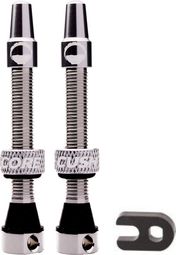 CushCore Tubeless ventielen 55 mm Zilver