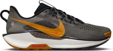 Chaussures Trail Nike Pegasus Trail 5 Noir/Marron Homme