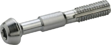 Banjo Elved Schroeven voor Shimano BR-M985 Remklauw (x2)