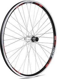 Ruota posteriore mtb 29 - Prodotti di Qualità a Prezzi Accessibili