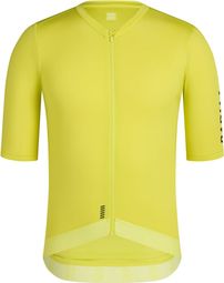 Rapha Pro Team Training T-shirt met korte mouwen Groen Heren