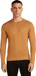 Baselayer Icebreaker Merino 260 Tech Marron Homme