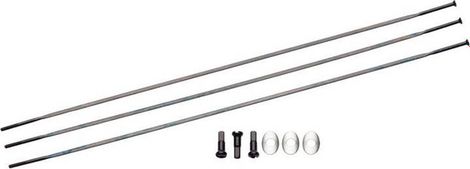 Kit 3 rayons droits externe ZIPP CX Ray Noir Chrome