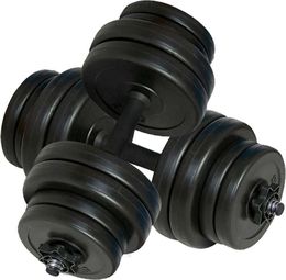 Haltères 2 x 15 kg fitness musculation 02_0000754