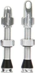Hope Silver Tubeless Valve Pair