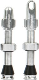 Hope Silver Tubeless Valve Pair