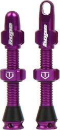 Par de válvulas tubeless Hope Purple