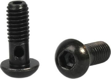 Viti Banjo Elvedes M6 x 1 (x2)