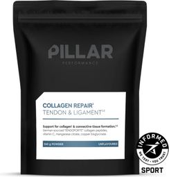 Complément Alimentaire Pillar Collagen Repair - 260 g
