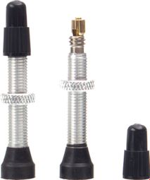 Paire de Valves Tubeless Neatt Presta Argent