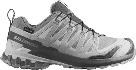 Chaussures Trail Salomon XA Pro 3D V9 GTX Gris Femme