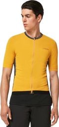 Oakley Point To Point Short Sleeve Jersey Amber Yellow