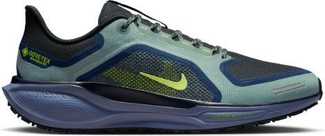 Nike Pegasus 41 GTX hardloopschoenen Groen/Blauw Heren