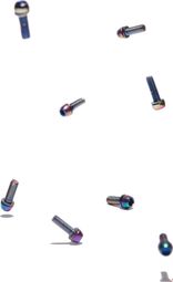 Set of 8 Title Screws for DM1 Stem