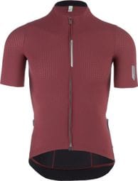 Q36.5 Pinstripe PRO Short Sleeve Jersey Brown